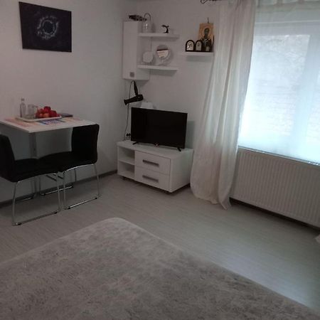 Apartament Cu Un Dormitor Spatios In Centrul Cluj-Napoca Exterior photo