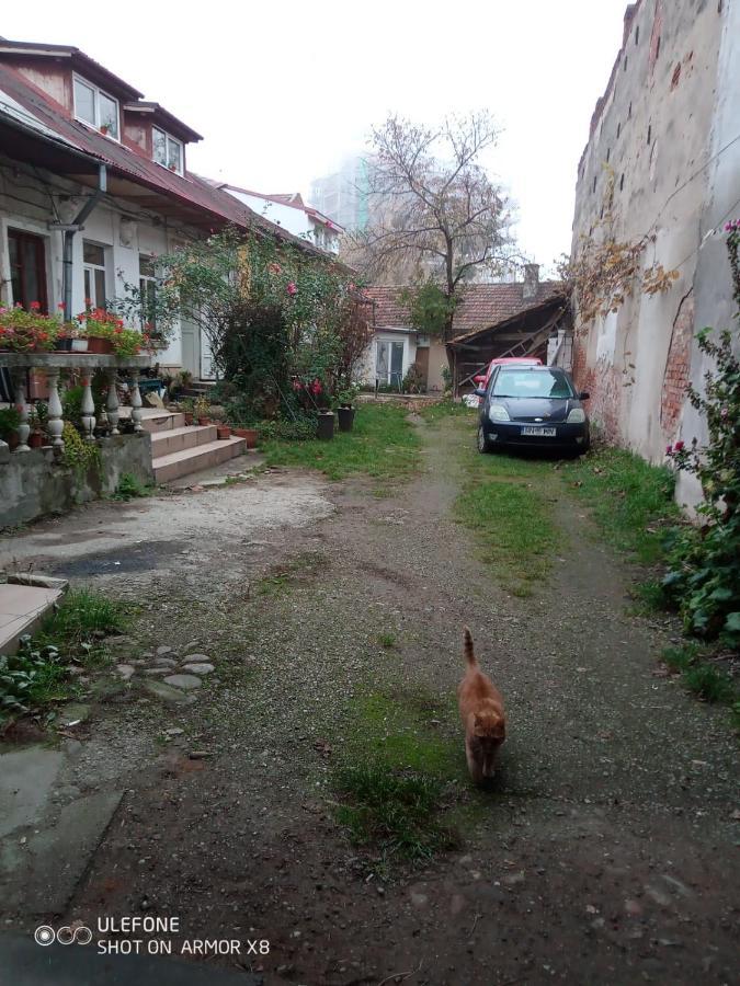 Apartament Cu Un Dormitor Spatios In Centrul Cluj-Napoca Exterior photo